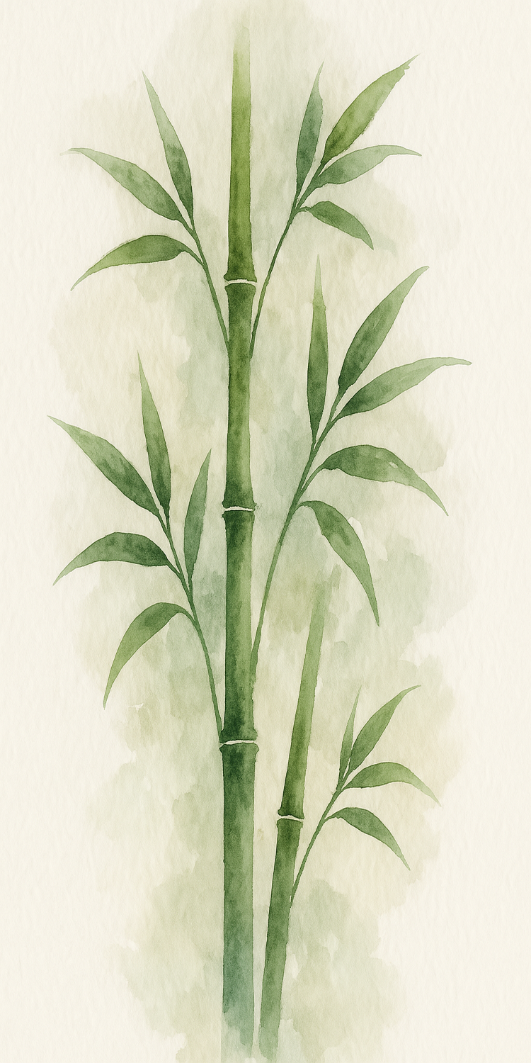 Bamboo Watercolor 5x10